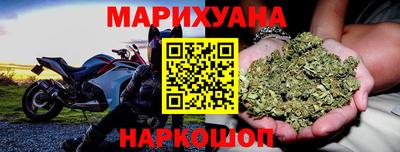 ешки Кингисепп