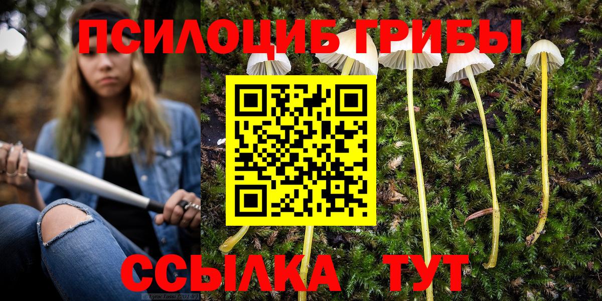 Галлюциногенные грибы GOLDEN TEACHER Можга