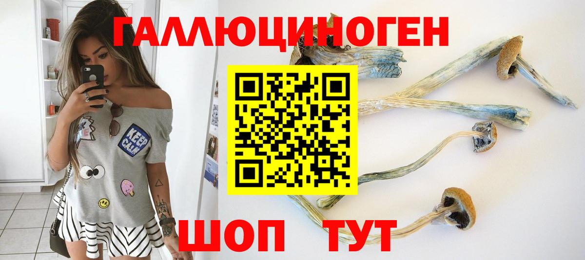 Галлюциногенные грибы прущие грибы  Галлюциногенные грибы Magic Shrooms  Можга  Вход с VPN 