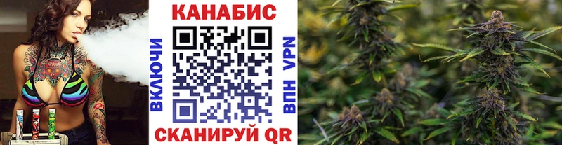 дарнет шоп  Можга  Марихуана план 